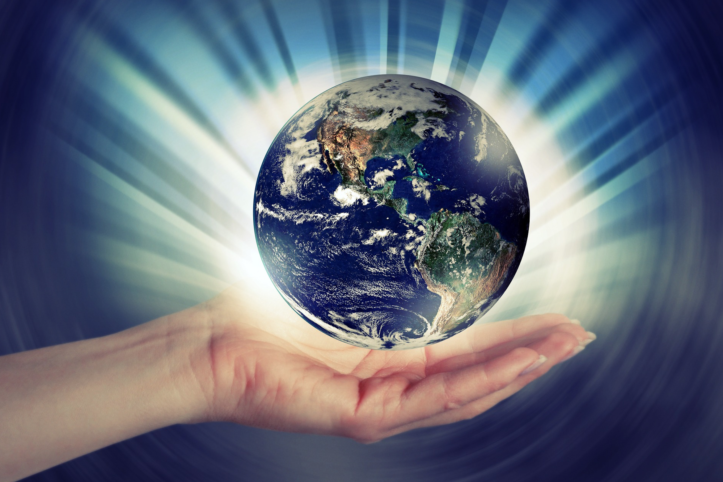 Contribuições para o perfil do profissional de sustentabilidade Contribuições para o perfil do profissional de sustentabilidade